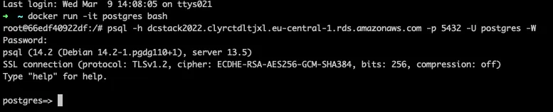 PSQL in a docker container